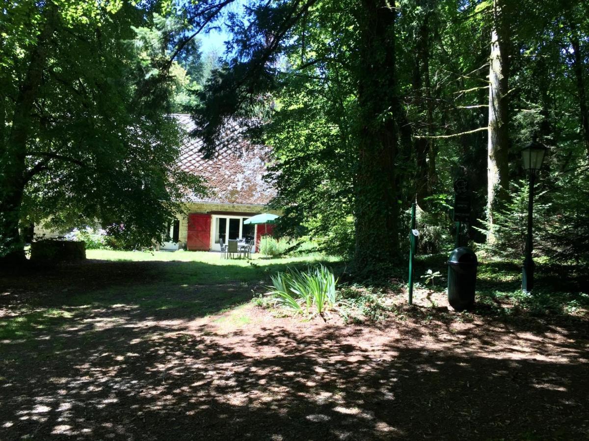Gites Chateau Le Bois Saint-Julien-aux-Bois Exterior foto